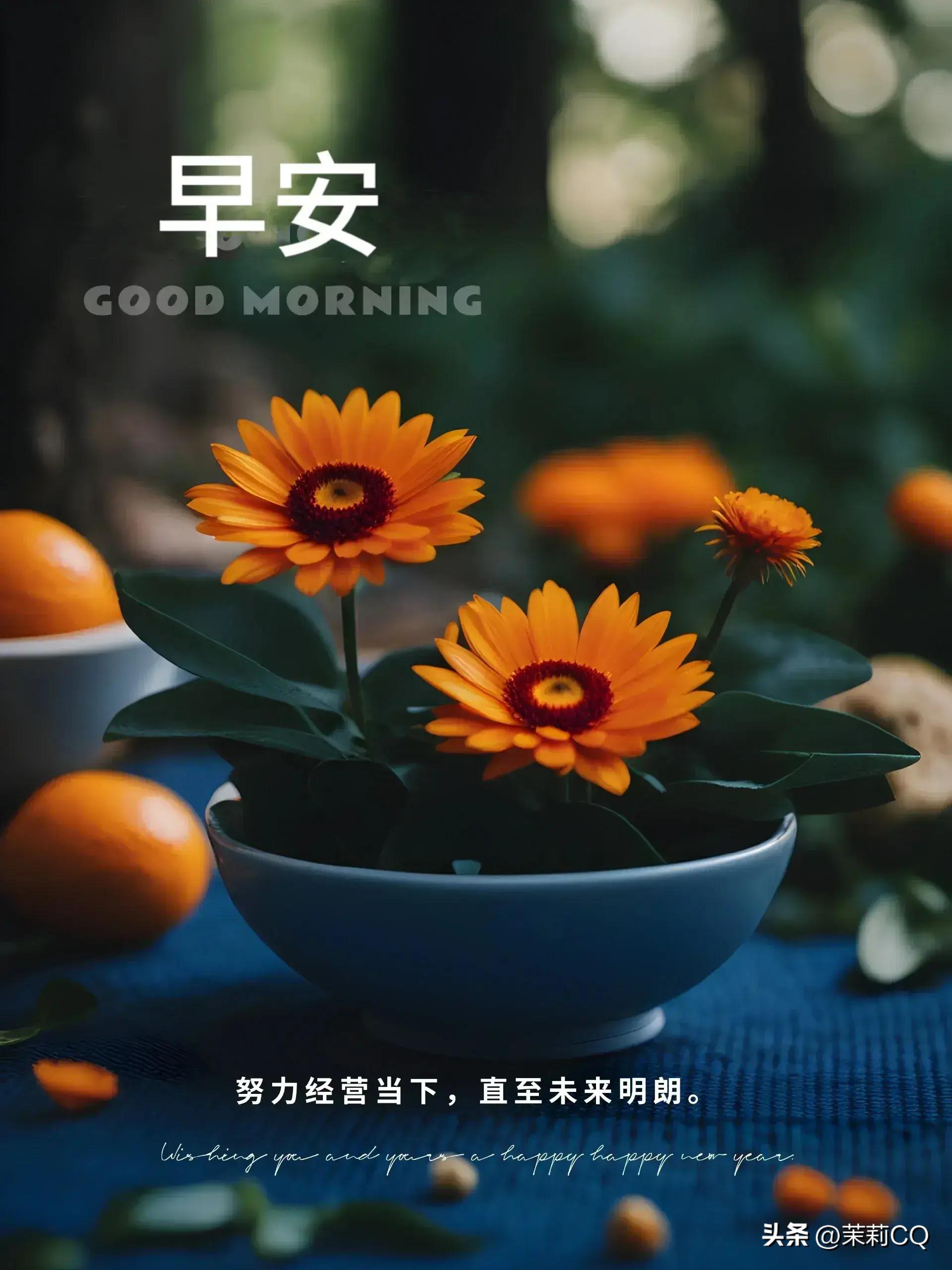 2024天天彩正版资料大全｜精选解释解析落实