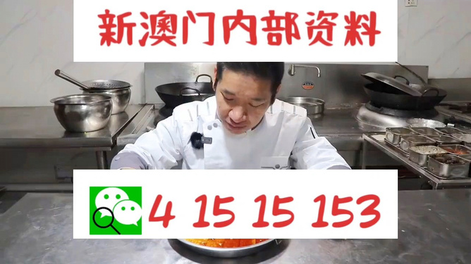 管家婆一码中一肖2024｜精选解释解析落实